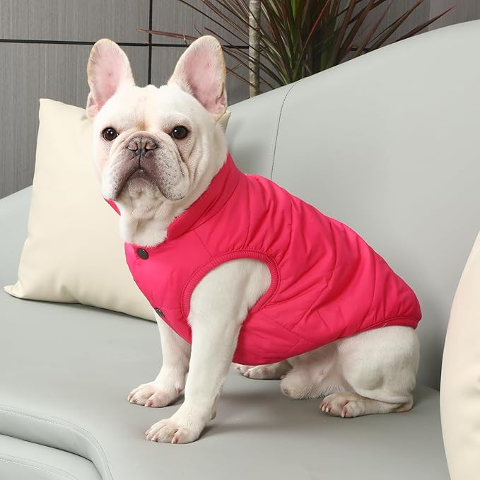 2 Layers Fleece Lined Warm Dog Jacket for Puppy Winter Cold Weather,Soft Windproof Small Dog Coat,Pink S