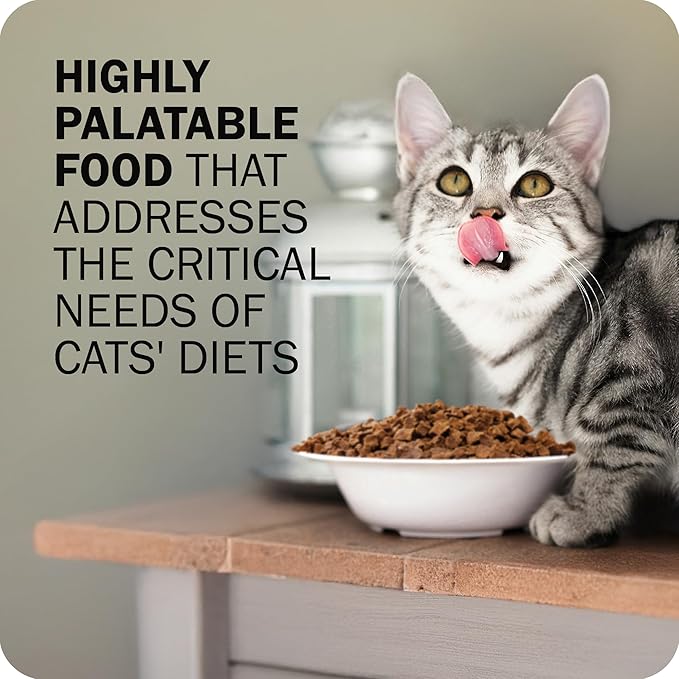 Redbarn Air Dried Powerfood for Cats with Real Chicken – Made in USA High Protein, Grain-Free Dry Cat Kitten Food Full Meal or Topper for Picky Eaters Supports Energy & Healthy Skin Coat – 2 lb Bag