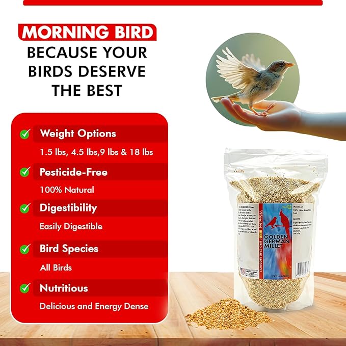Morning Bird Golden German Millet – Bird Seed & Parakeet Food with Protein, Vitamin B & Fiber – Easy-to-Digest Millet Seed, Natural Food & Daily Nutrition Supplement for All Type of Bird 1.5 lbs