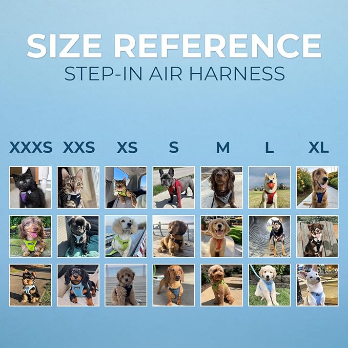 Best Pet Supplies Voyager Step-in Air Dog Harness - All Weather Mesh, Reflective, No Pull Harness for Small, Medium Dogs, Cats - Secure with Hook & Loop Fastener, Buckle, Double D-Rings - Black, L