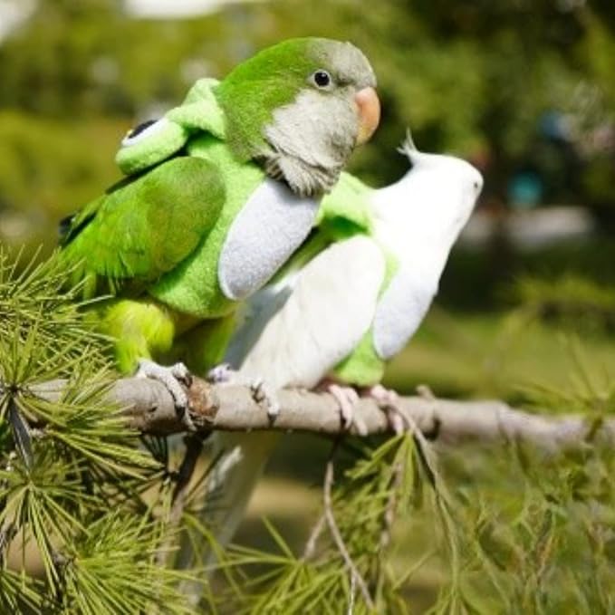 Bird Costume Diaper Flight Suit Frog Shape Hoodie Clothes Cosplay Photo Prop for Parrots Parakeet Cockatiel Sun Conure, Small Animals Apparel (Green Without Diaper, Large), (BPF1)