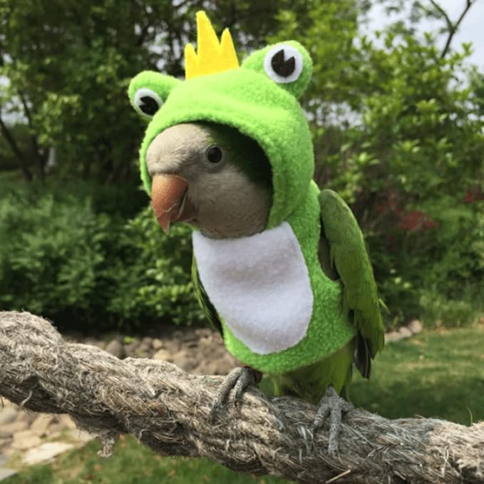 Bird Costume Diaper Flight Suit Frog Shape Hoodie Clothes Cosplay Photo Prop for Parrots Parakeet Cockatiel Sun Conure, Small Animals Apparel (Green Without Diaper, Large), (BPF1)