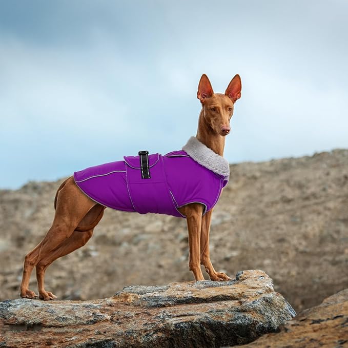 Lelepet Warm Dog Coat Reflective Fleece Vest Waterproof Dog Jacket with Adjustable Buckle Hook & Loop Windproof Cold Weather Coats for Small Medium Large Dogs, Purple, S