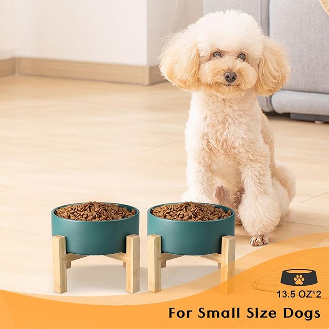 SPUNKYJUNKY Ceramic Elevated Dog Bowls 2 Pack - 5.1inch Raised Dog Bowls with Non-Slip Wooden Stand for Small Dogs Dishwasher Safe(Green,13.5OZ*2)