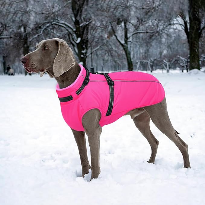 Lelepet Dog Winter Coat Waterproof Dog Jacket with Harness Built in Windproof Reflective Pet Coats for Small Medium Large Dogs, Thermal Fleece Lined Coats for Cold Weather Walking Hiking, Shih Tzu, S