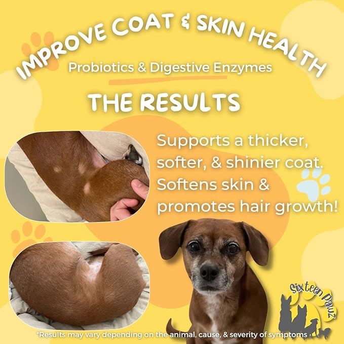 Dog & Cat Probiotics, Prebiotics, & Digestive Enzymes โ Flavorless Powder for Gut Health, Allergies, Itchy Skin, Gas & Diarrhea โ Organic, Vet-Approved โ 65g Bottle (Up to 65 Servings)