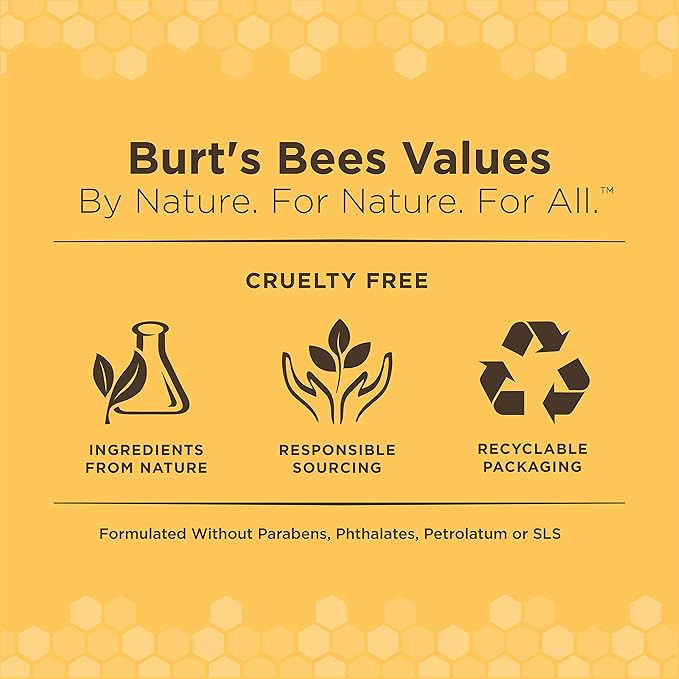 Burt's Bees for Pets Kitten Wipes with Buttermilk - Pet Wipes for Cats Waterless Bathing & Cleaning, Kitten Essentials for Indoor Kittens, Gentle Cat Grooming Wipe for Face, Paws & Butt, 50 Count