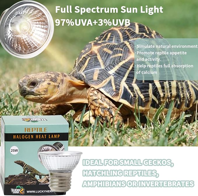 LUCKY HERP 4 Pack 25W UVA UVB Reptile Light Bulbs, Heat Lamp Bulbs for Reptiles and Amphibians, Basking Light Bulb for Turtle, Bearded Dragon, Lizard Heating Use