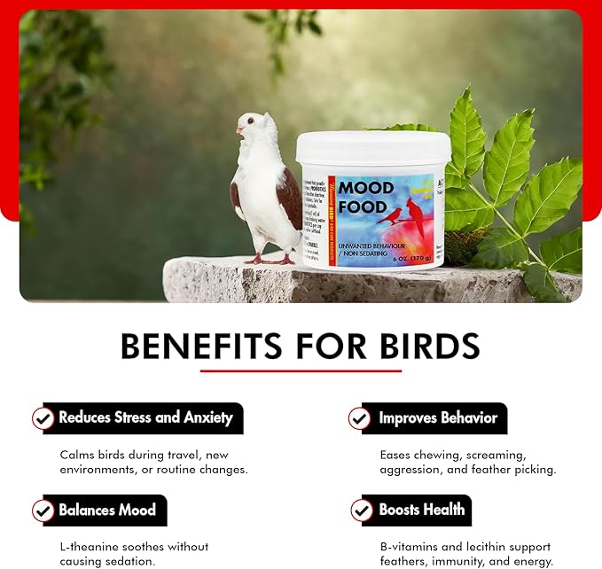 Morning Bird Mood Food (Avian Calming Formula) 6 Oz – Natural Calming Supplement for Birds – Reduces Stress, Feather Plucking & Aggression – Stress Relief Supports with B-Vitamins for Daily Calm
