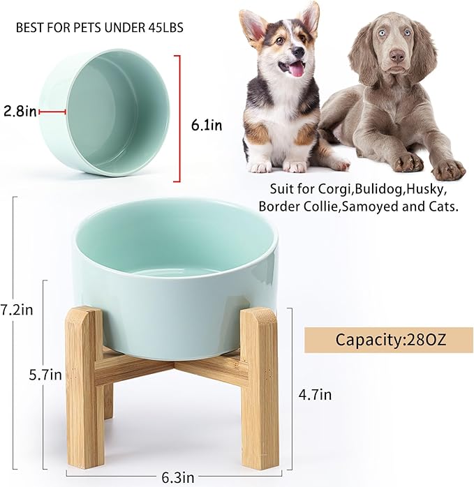Petygooing Elevated/Raised 15°Slanted Ceramic Dog Bowl for Small and Medium Breeds, Tilted Anti Slip Pet Bowl,Food Water Dish with Stand for Cats and Dogs (28 OZ/3.6 Cups) Blue Sky