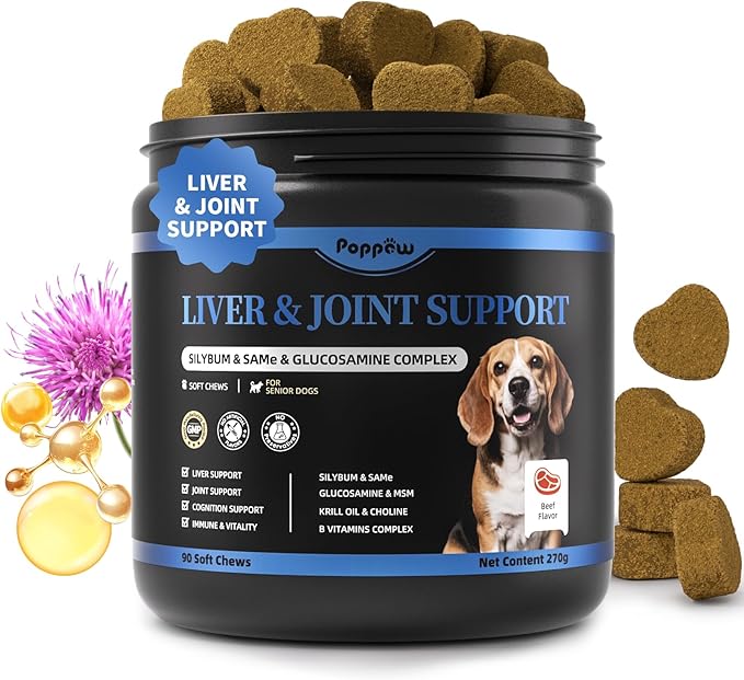 Liver Health Supplement for Senior Dogs - Joint Health Support with Silybum Marianum, Same, Krill Oil, Glucosamine, B Vitamins Complex, MSM, Choline for Old Dogs, Beef Flavor - 90 Soft Chews