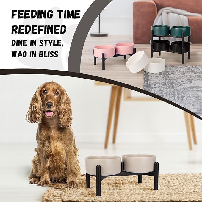 Raised Ceramic Dog Bowl Set - Elevated Double Dishes with Stainless Steel Stand - Food and Water Bowls for Small to Medium Dogs - Each Holds 2 Cups (28.75 fl oz) - Pink