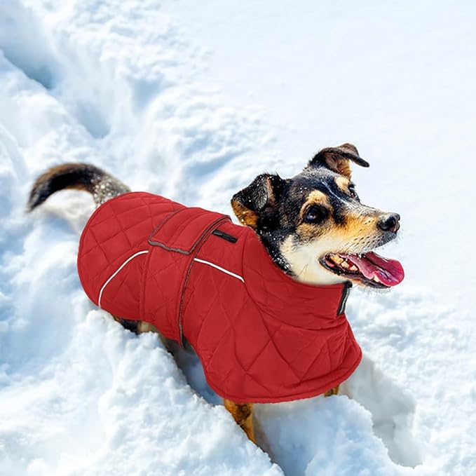 Kuoser Extra Warm Dog Coat, Windproof Cold Weather Jacket for Small Dogs, Fleece Lining Turtleneck Dog Jacket Pet Christmas Snowsuit Puppy Reflective Adjustable Winter Clothes, Red S