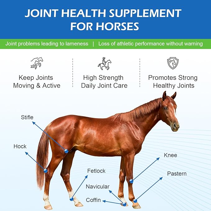 Joint Health Supplement for Horses Powder - Glucosamine, MSM, Chondroitin Sulfate - Joint Support Supplement for Horses Senior Horse Joint Support Formula