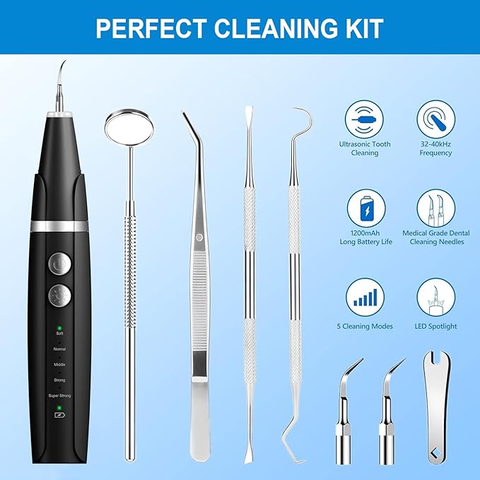 Plaque and Tartar Remover, Dog Ultrasonic Teeth Cleaner Toothbrush for Tartar and Stains with LED Light, 5 Modes Low Noise Sonic Tooth Cleaning Kit Tool for Dogs (Black)