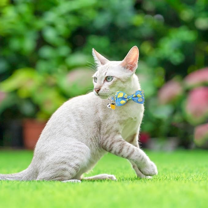 SCENEREAL Breakaway Cat Collar with Bell, 3 Pack Safety Adjustable Cat Collars with Pendant, Personalised Puppy Kitten Collar with Bow for Spring Summer Boys Girls, Pineapple & Lemon & Watermelon