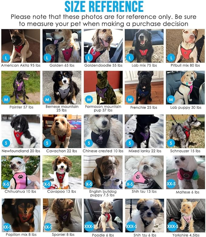 SlowTon Dog Seat Belt Harness for Car, Dog Car Harness Adjustable Mesh Breathable & Dog Seatbelt Safety Tether with Elastic Bungee for Small Medium Large Pets(Fuchsia, Double Clip, L)