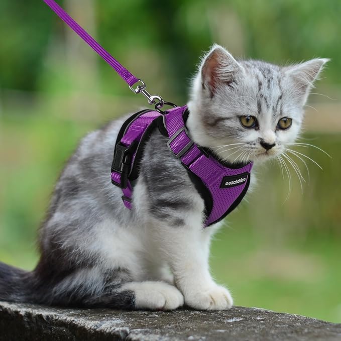 rabbitgoo Cat Harness and Leash for Walking, Escape Proof Soft Adjustable Vest Harnesses for Cats, Easy Control Breathable Reflective Strips Jacket, Purple, M