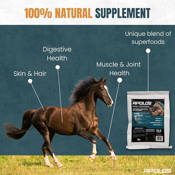 Greenfit APOLO'S 100% Natural Horse Supplement for Daily Feeding – Joint Support, Coat Shine & Strength | Flaxseed, Quinoa, Chia | 10 LB Bag