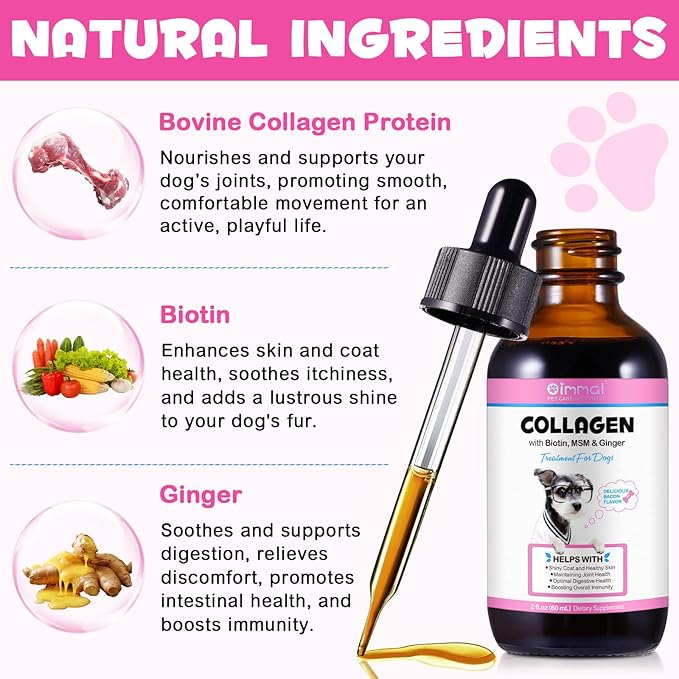 2Pack Collagen for Dogs, Liquid Collagen for Dogs 2 fl.oz, Skin & Coat Supplement for Dogs, Itch Relief for Dogs with Vitamin C, Biotin, MSM, Ginger, Daily Collagen for Dogs Drops, Bacon Flavor