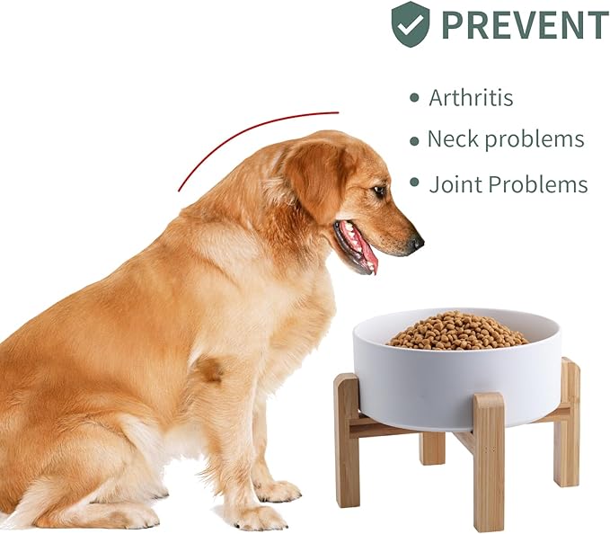 White Elevated/Raised Dog Bowl Ceramic for Small Medium Sized Breed,Dog Food Water Bowl with Stand,6 in 3.6 Cups Non Slip Heavy Weighted Dog Dish