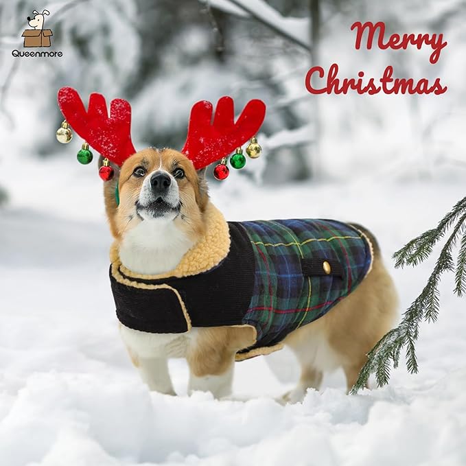 Queenmore Dog Winter Coat Warm Dog Jacket for Cold Weather, Quilting Puffer Plaid Coats for Small/Medium Dogs Waterproof,Girl/Boy Pet Christmas Coat,Pet Snowsuit with Leash Hole/Fleece Padding, XL