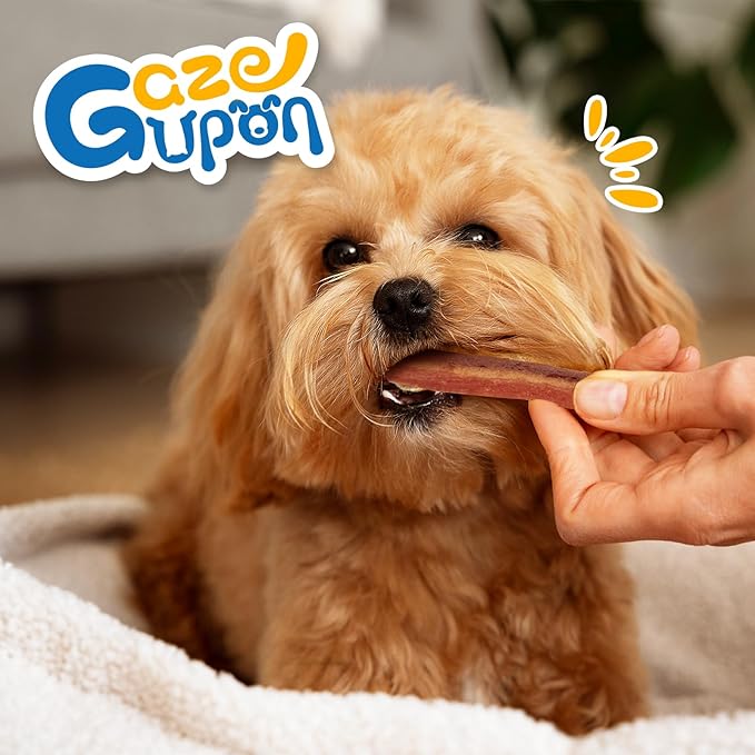 gazeupon Dog Jerky Treats,Triple Flavored Meat Strips for Dogs,Healthy Training Treats for Dogs,Made with Real Chicken,Duck,Beef,14.1 oz