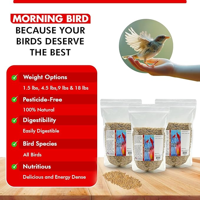 Morning Bird Paddy Rice Bird Seed for Optimal Health & Nutritious Pet Bird Food – Supports Feathers & Immunity – Ideal for All Seed Eating Birds. 4.5 lbs (3-Pack, 1.5 lbs Each)
