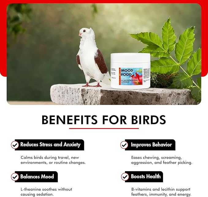 Morning Bird Mood Food (Avian Calming Formula) – Natural Calming Supplement for Birds – Reduces Stress, Feather Plucking & Aggression – Stress Relief Supports with B-Vitamins for Daily Calm 1 oz