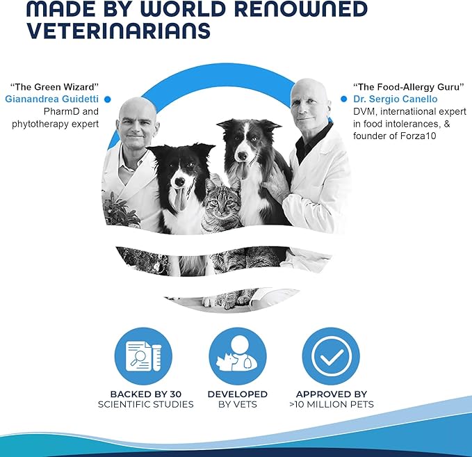 Forza10 Dermo Allergy Dog Food, Dog Food for Allergies and Itching, Dry Dog Food for Skin Allergies, Fish Flavor Sensitive Stomach Dog Food, Sensitive Stomach Dog Food Adult Dogs All Breeds, 6 Pounds