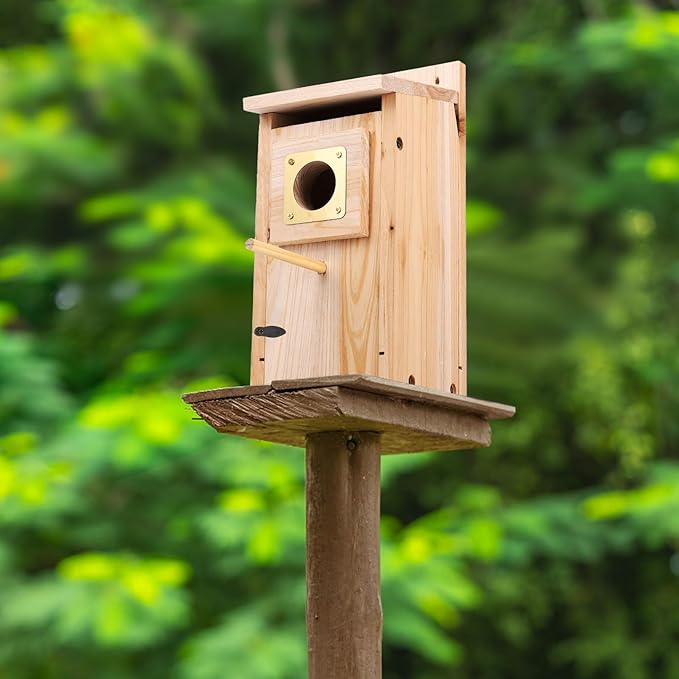 Bird Houses for Outside with Copper Guard,Thicken Wooden Bluebird House Clearance Garden Country Cottages, Nesting Box for Finch Swallow Wren Chickadee Wild Bird Supplies