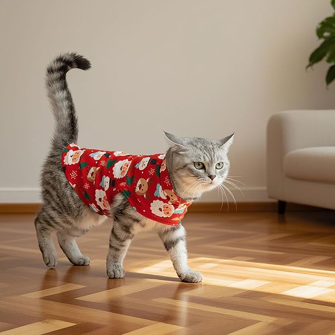 EXPAWLORER Cat Christmas Sweater - Sweaters for Cats Only Soft Warm Pet Clothes, Fall and Winter Xmas Coat Pullover Design, Fleece Sweatshirt Clothing Also for Puppy Small Dogs, Medium