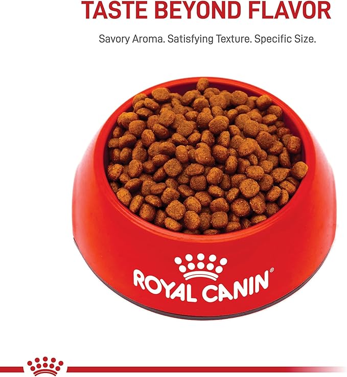 Royal Canin Breed Health Nutrition Cavalier King Charles Spaniel Puppy Dry Dog Food, 3 lb Bag
