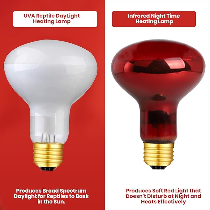 Reptile Heat Lamp Bulb 100 Watts UVA Basking Light for Reptiles and Amphibian, Basking Light for Bearded Dragon, UVA Reptile Light Bulb E26 Base 2 Pack