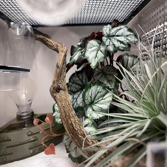 Reptile Plants for Terrarium Decor,Amphibian Habitat Decor,Artificial Plants for Gecko Chameleon Snake Tortoise Tank Accessories with Base (Green heuchera micrantha)