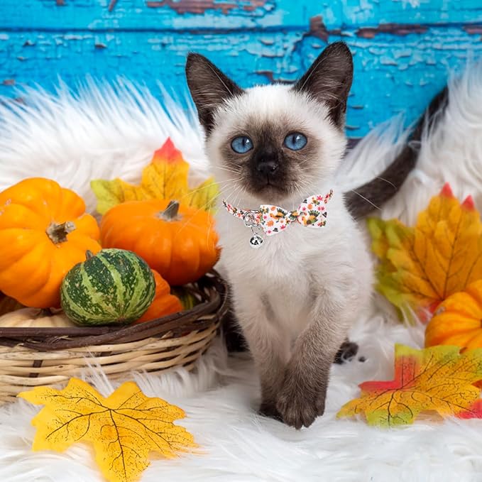 SCENEREAL Fall Thanksgiviing Cat Collar Breakaway, 3 Pack Kitten Collars with Bell, Bowtie and Safety Buckle - Adjustable Cute Holiday Cat Collars with Turkey and Pumpkin Pattern for Girl Boy