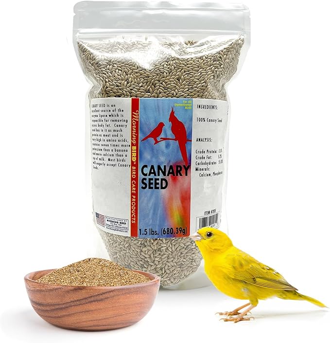 Morning Bird Canary Seed – Nutritional Rich in Vitamins and Supplements for Birds – Ideal for Healthy Feathers and Strong Bones Seed for All Birds Type 1.5 lbs