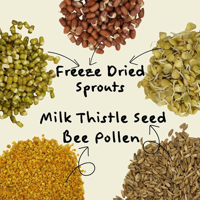 Feather Shine High Potency Blend with Bee Pollen & Freeze-Dried Sprouts - Premium Parrot Food for Molting, Breeding & Growth - Omega Rich | 17.5% Plant Protein | USA-Made 1 lb