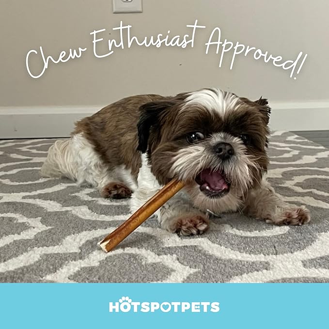 hotspot pets 6 Inch Premium Bully Sticks- (20 Pack) All Natural Long Lasting Bully Sticks for Medium Dogs, Beef Pizzle Treats - Grain Free, Fully Digestible Rawhide Alternative Beef Stix