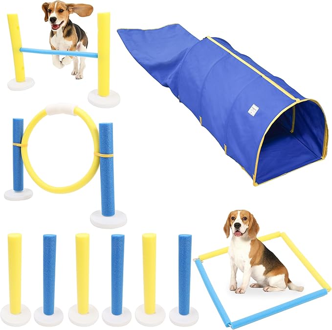 Pet Agility Training Equipment Set with Stable Tunnel,Dog Interactive Obstacle Jump Ring Kit for Indoor