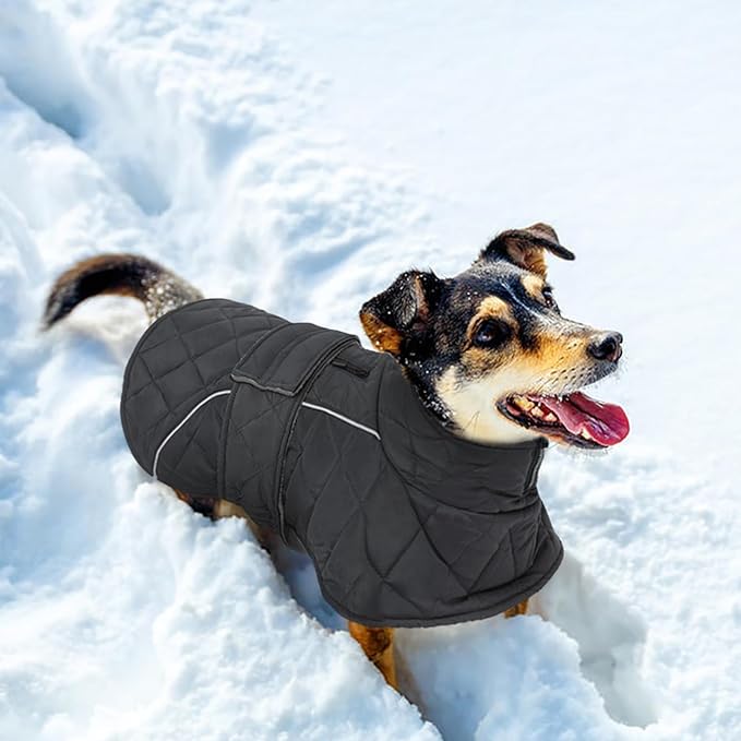 Kuoser Extra Warm Dog Jacket, Windproof Cold Weather Coats for Small Dogs, Fleece Lined Turtleneck Dog Snowsuit, Reflective Adjustable Pet Winter Coat, Dark Grey S