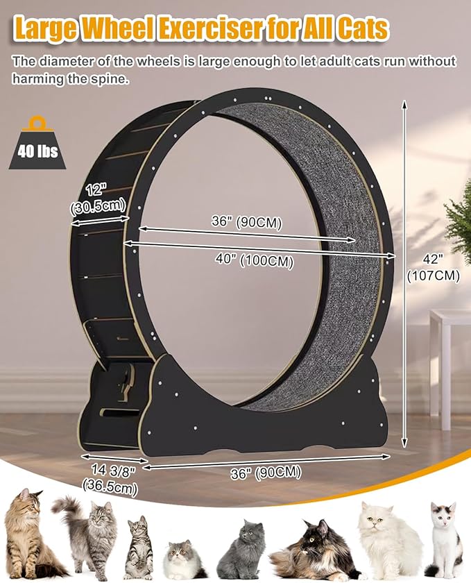 Large Cat Exercise Wheel 40 inch - Black Solid Wood Cat Wheel Exerciser for Indoor Cats, Safety Cat Treadmill with Lock & Minimized Gapdesign