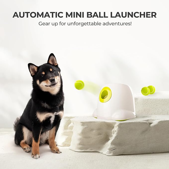 AFP Automatic Ball Launcher for Dogs Dog Fetch Ball Thrower Interactive Puppy Pet Ball Launcher for Small & Medium Dogs Indoor/Outdoor Dog Ball Thrower Machine 3 Balls Included (2 inch)