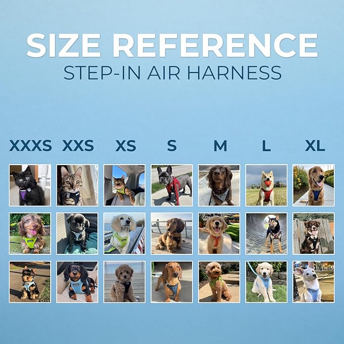 Best Pet Supplies - All Weather Mesh, Reflective, No Pull Harness for Small, Medium Dogs, Cats - Secure with Hook & Loop Fastener, Buckle, Double D-Rings - Lime Green 2-Tone, XL