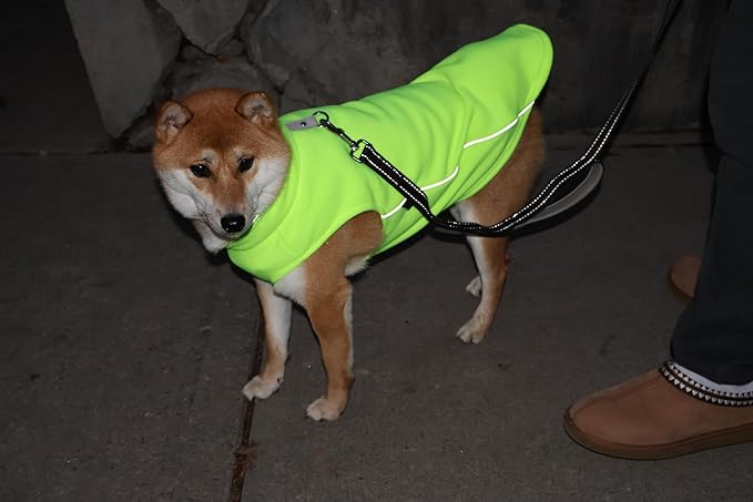 JACKO & CO - Fleece Vest Sweater with Leash Ring - Soft Lightweight Breathable for Puppies Small Medium Dogs, Kitten, Cats, Chihuahua - Warm for Fall/Autumn/Winter (Lime Green, Medium 6-10lbs)
