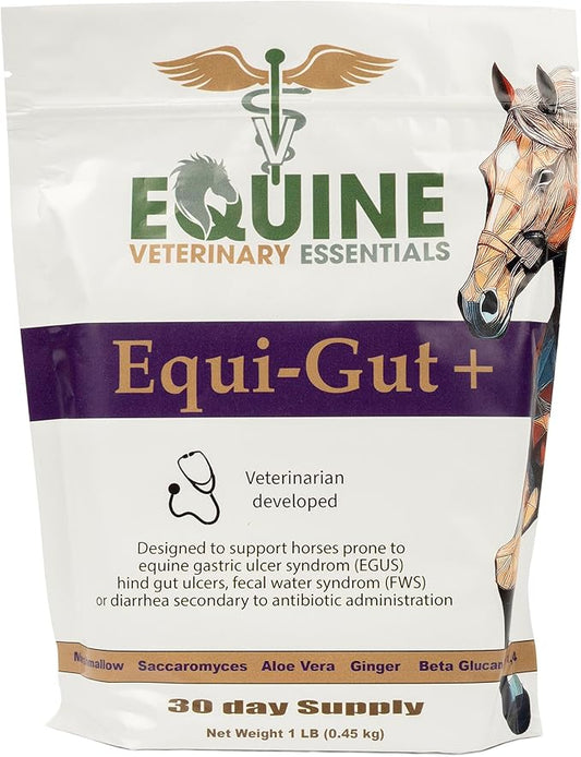 Equi-Gut+ Equine Gut Health Supplement – Probiotic & Prebiotic Digestive Support for Horses – Improves Nutrient Absorption & Reduces Digestive Discomfort – 1 lb Powder Formula