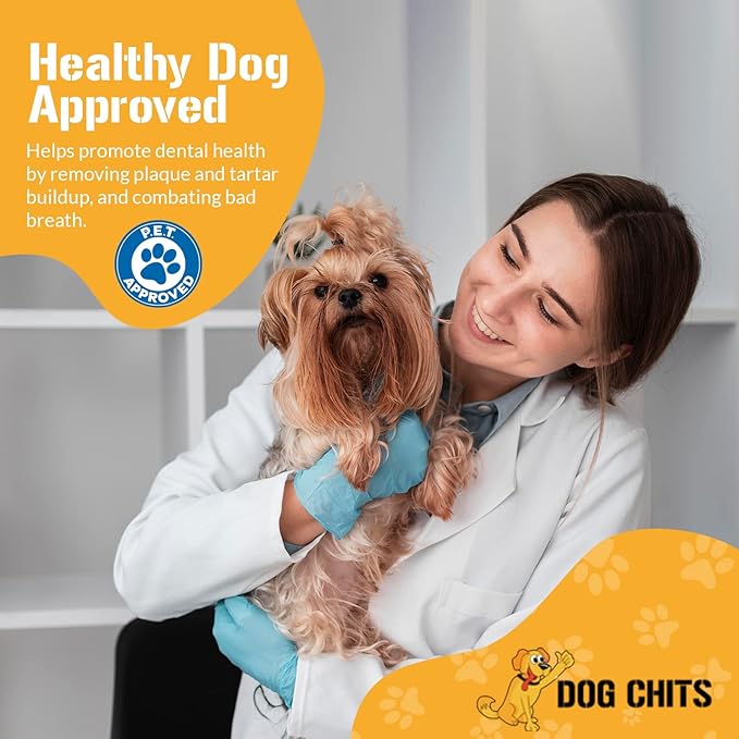 Dog Chits Bully Sticks for Dogs and Puppies | 12-inch, 6 Pack | Natural Healthy Long Lasting Chew for Large and Small Dogs Protein Treats | Odor Free