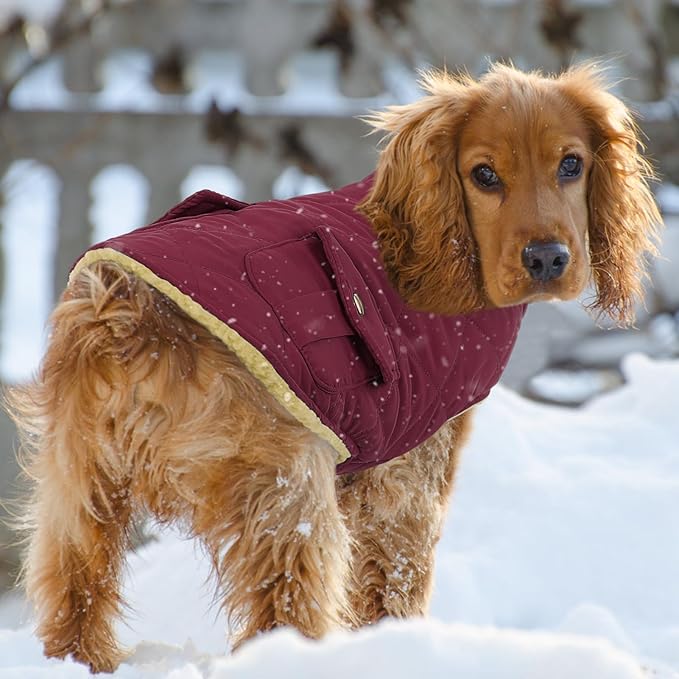 Queenmore Dog Winter Coat Warm Puffer Jacket Waterproof Plush Lining Thermal Cold Weather Vest for Small Medium Large Dogs, Windproof Easy On Pet Jacket Burgundy XS