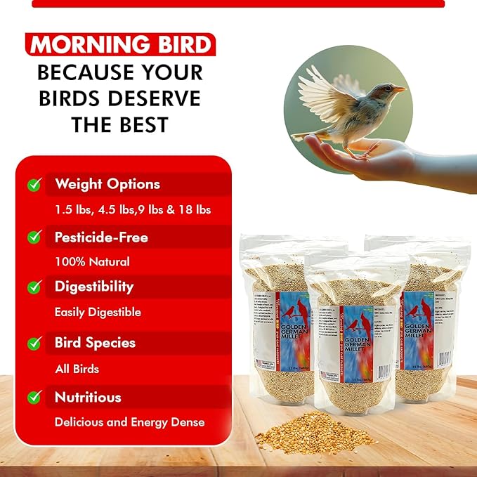 Morning Bird Golden German Millet – Bird Seed & Parakeet Food with Protein & Vitamin B – Easy-to-Digest Millet Seed, Natural Food & Daily Nutrition for All Type of Bird 4.5 lbs (3-Pack, 1.5 lbs Each)