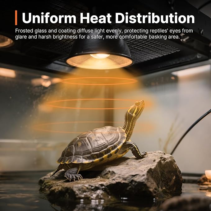 ALAMPEVER 2 Pack Reptile Heat Bulb, 75W Basking Light for Bearded Dragon, E26 Base, Durable Basking Bulb for Amphibian, Lizard, Tortoise, Gecko